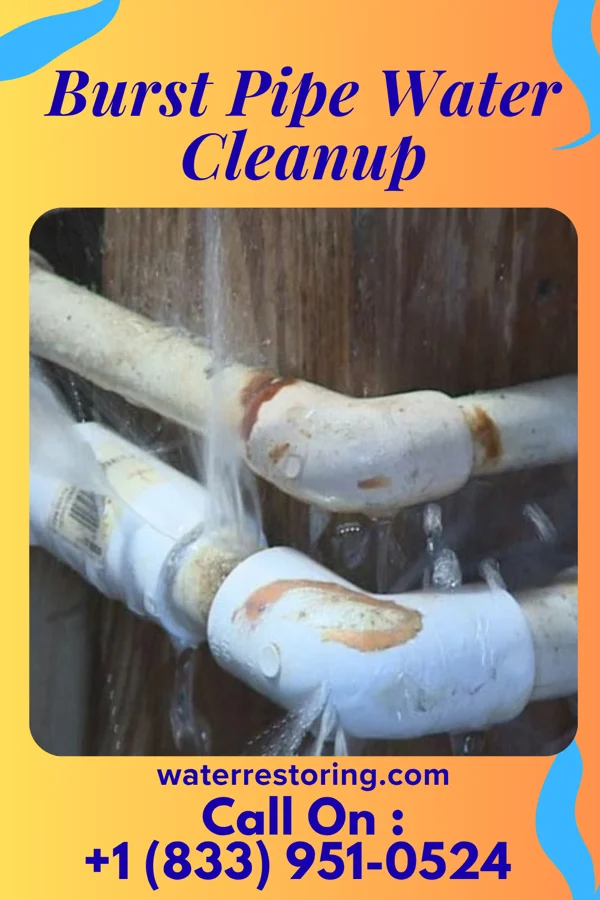 Burst Pipe Water Cleanup in Princeton, MO
