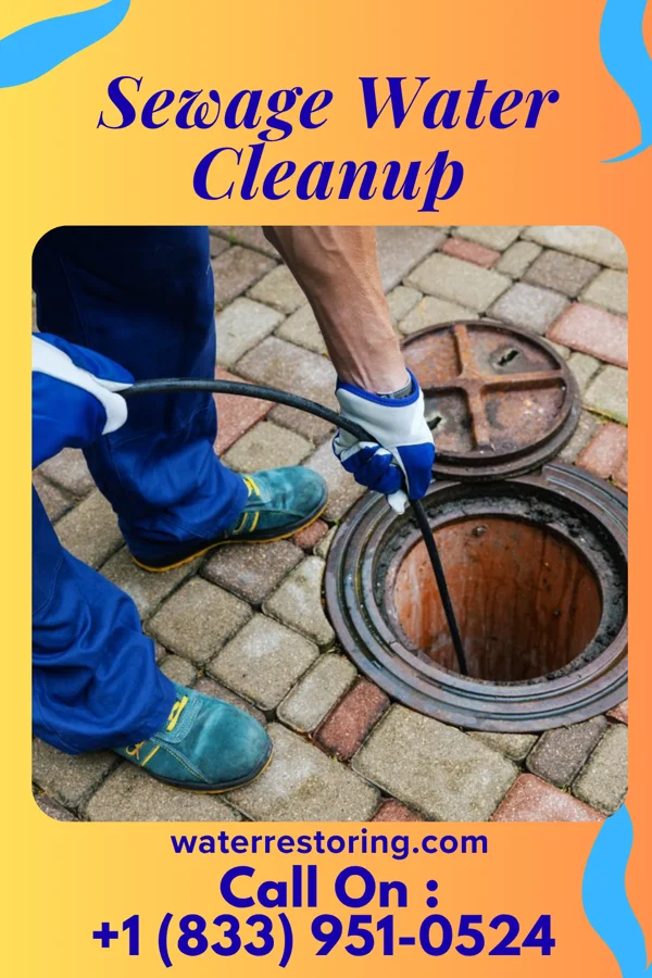 Sewage Water Cleanup in Princeton, MO
